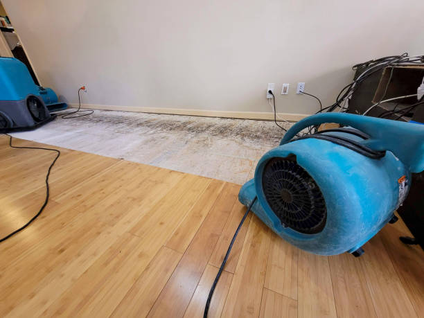 Professional Basement Flood Cleanup technician working in Walkerville, MI
